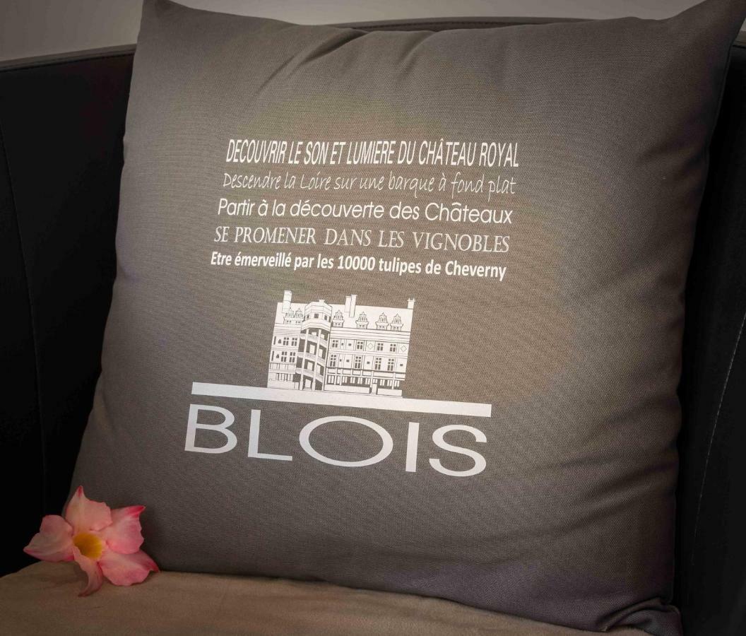 Le Relais Du Petit Lion Apartment Блоа Екстериор снимка